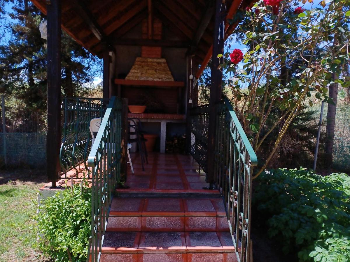 Villa Katerina Nea Kallikrateia Ngoại thất bức ảnh