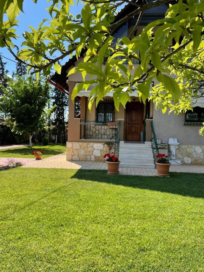 Villa Katerina Nea Kallikrateia Ngoại thất bức ảnh