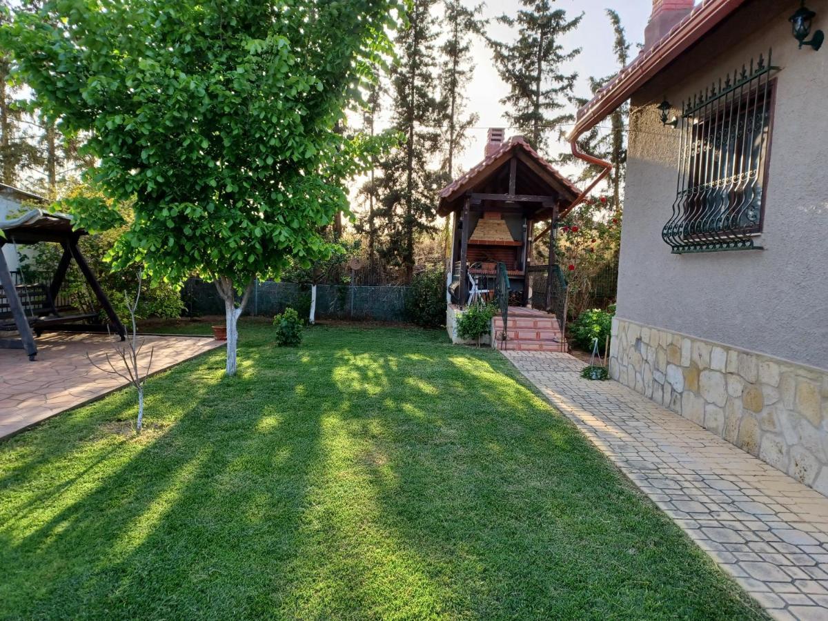Villa Katerina Nea Kallikrateia Ngoại thất bức ảnh