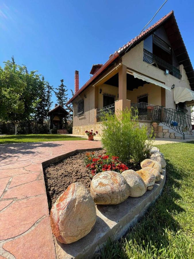 Villa Katerina Nea Kallikrateia Ngoại thất bức ảnh
