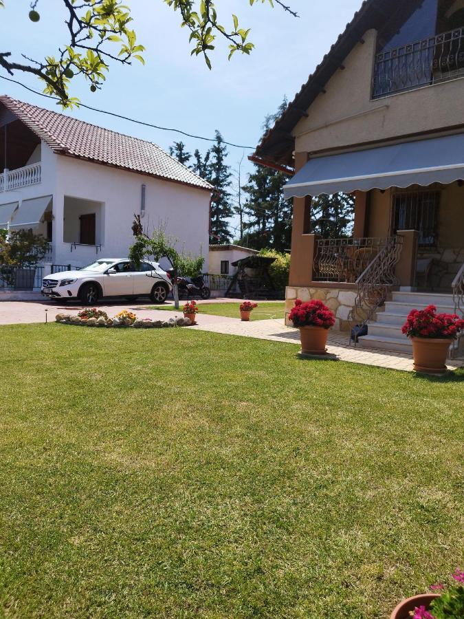 Villa Katerina Nea Kallikrateia Ngoại thất bức ảnh