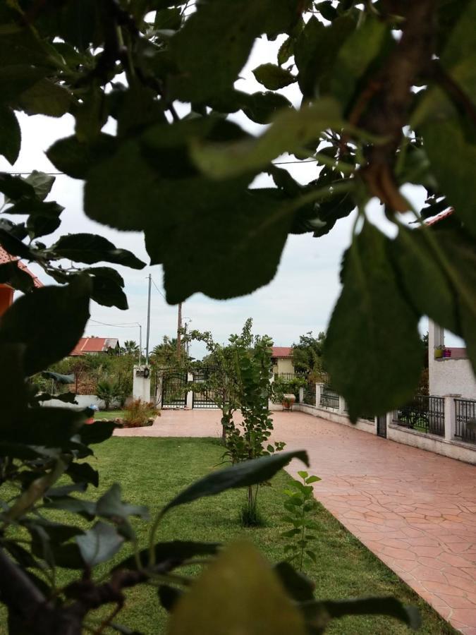 Villa Katerina Nea Kallikrateia Ngoại thất bức ảnh
